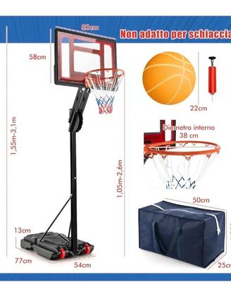 Canestro da basket per esterno 