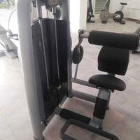 Attrezzo palestra Lower Back Selection Technogym
