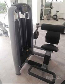 Attrezzo palestra Lower Back Selection Technogym