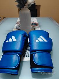 Guantoni da Boxe 
