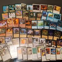 Lotto 64 carte Magic the Catering