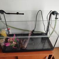 Acquario 60 litri con accessori vari