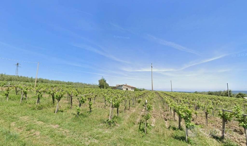 Terreno di 28581 m² a Mozzagrogna - Vista 5