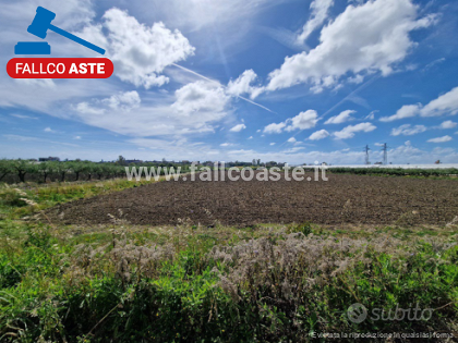 Tribunale di Salerno - RG 280/2024 Terreno in asta - Vista 3