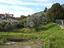 Immagine 9