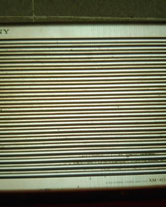 Amplificatore Sony XM-4040