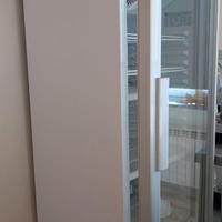 Frigovetrina verticale 220V