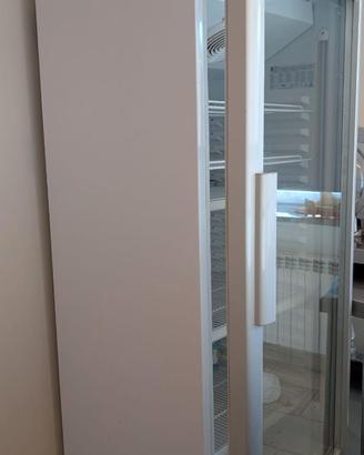 Frigovetrina verticale 220V