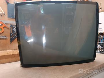 Monitor CRT 25" + scheda Alimentazione (guasta)