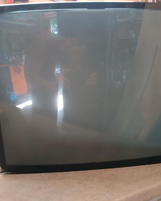 Monitor CRT 25" + scheda Alimentazione (guasta)
