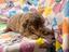 Immagine 24
