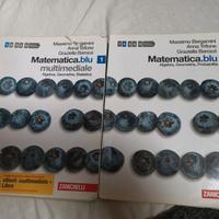 Matematica blu multimediale vol 1 e Vol 2