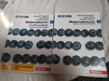 Matematica blu multimediale vol 1 e Vol 2