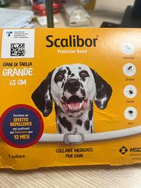 Collare cane