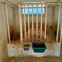 Box amovibile cavalli