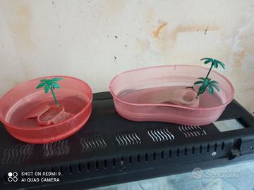 Vaschette per tartarughe