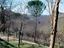 Immagine 15