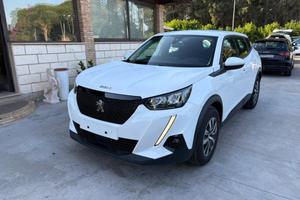 PEUGEOT 2008 BlueHDi 110 S&S Active