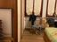 Immagine 12