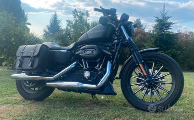 Harley Davidson Sportster iron xl883n
