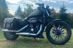 Harley Davidson Sportster iron xl883n