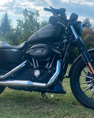 Harley Davidson Sportster iron xl883n