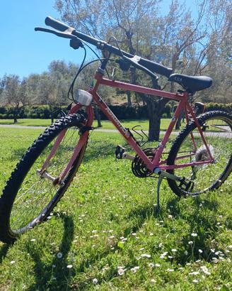 Bicicletta MTB ADRIATICA CAMBIO SHIMANO