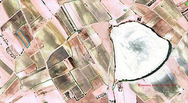 Vigneto comune di Serdiana