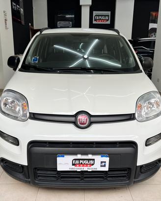 Fiat Panda 1.0 S&S Hybrid CITY LIFE - 2022
