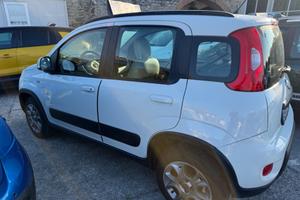 Fiat Panda 1.3 MJT S&S 4x4