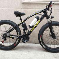 Fat bike elettrica