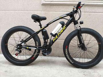 Fat bike elettrica