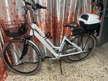 Bicicletta elettrica Montana