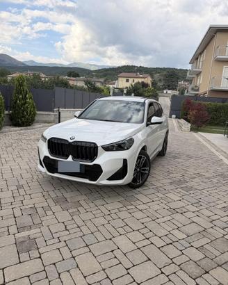 Bmw x1 msport pro