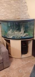 acquario 300 LT.