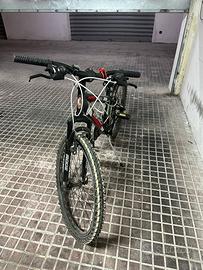 BICICLETTA LEGNANO