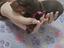 Immagine 4