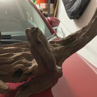 Radici in legno per acquario