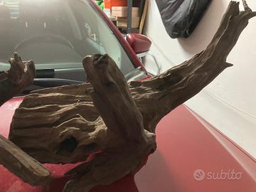 Radici in legno per acquario