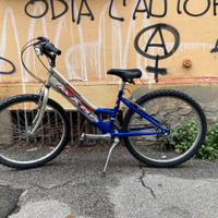 Bicicletta con catenaccio