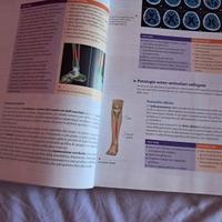 Tempo di Sport Ediz. Verde-Del Nista Tasselli