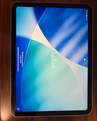 IPAD CON APPLE PENCIL E CUSTODIA