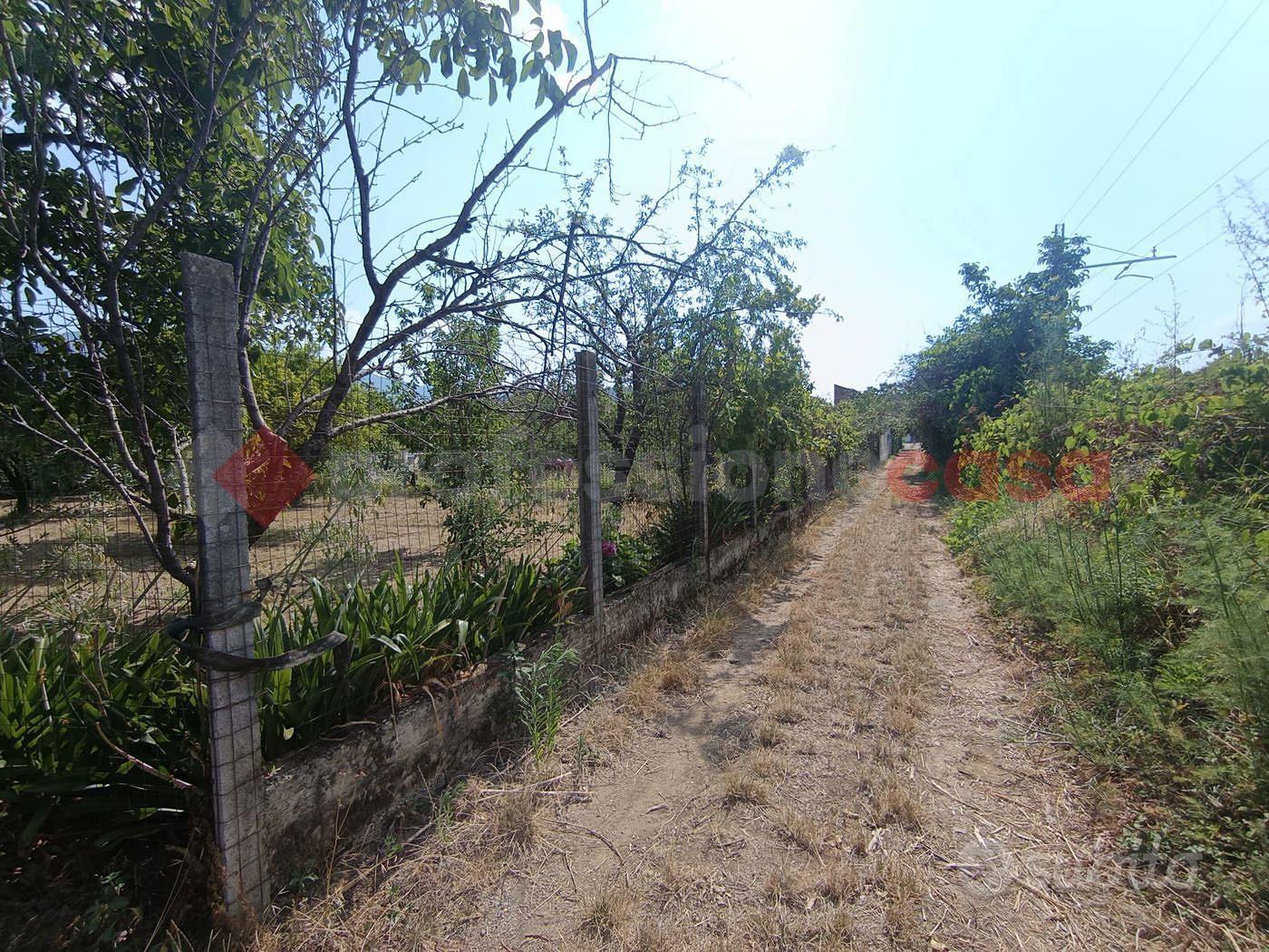 Terreno Agricolo Castel San Giorgio - Vista 2