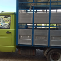Iveco trasporto animali