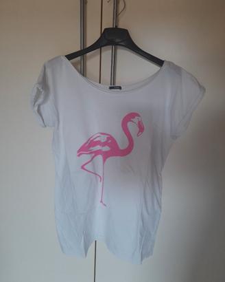 maglia maniche corte 