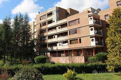 4 LOCALI A CAMPOBASSO