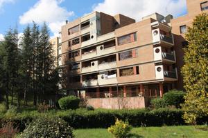 4 LOCALI A CAMPOBASSO