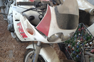 Yamaha fzr Genesis 400 1988