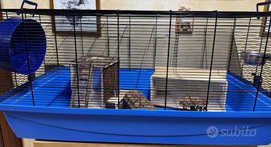 Gabbia per roditori(criceti,cavie peruviane ecc.)