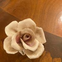 Rosa di capodimonte